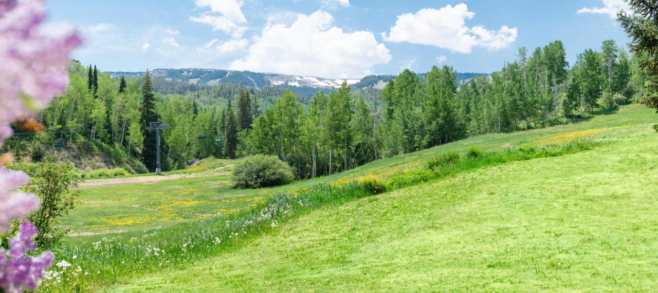 Laurelwood Condominiums 110 Snowmass Village Esterno foto